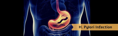 What Is H. Pylori Infection and Why You Should Worry About It?